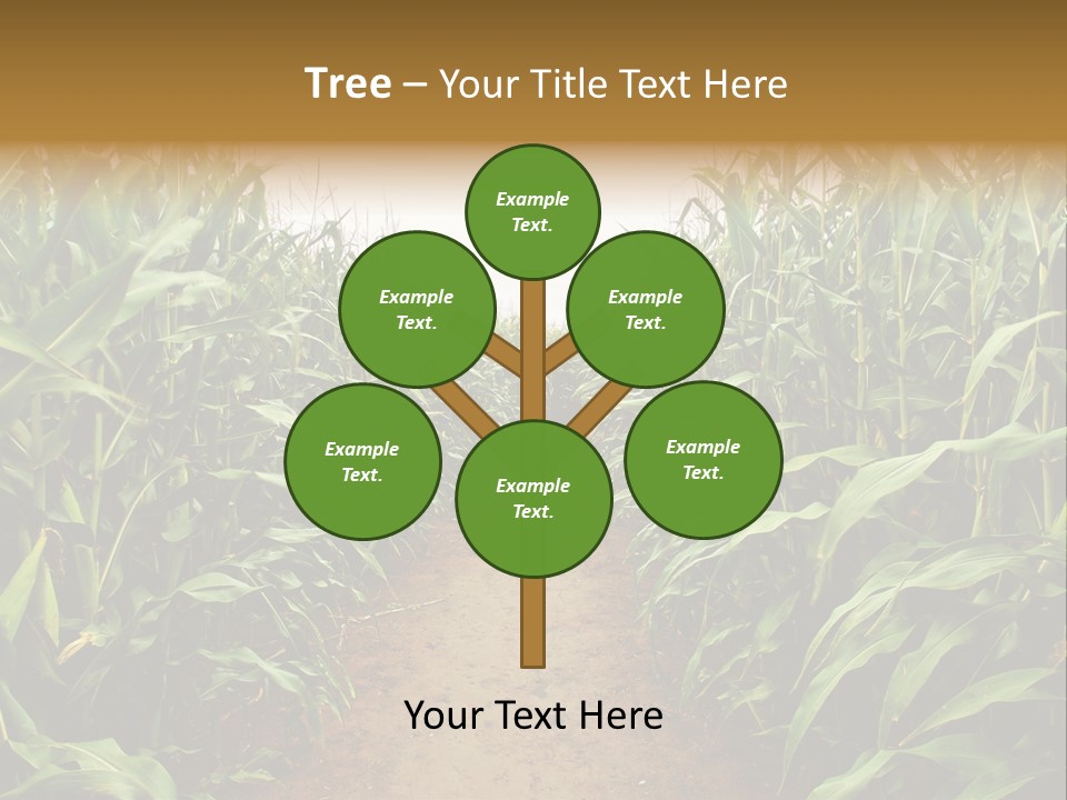 Mud Nature Plant PowerPoint Template