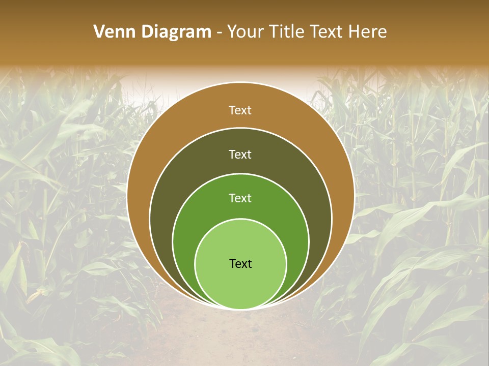 Mud Nature Plant PowerPoint Template