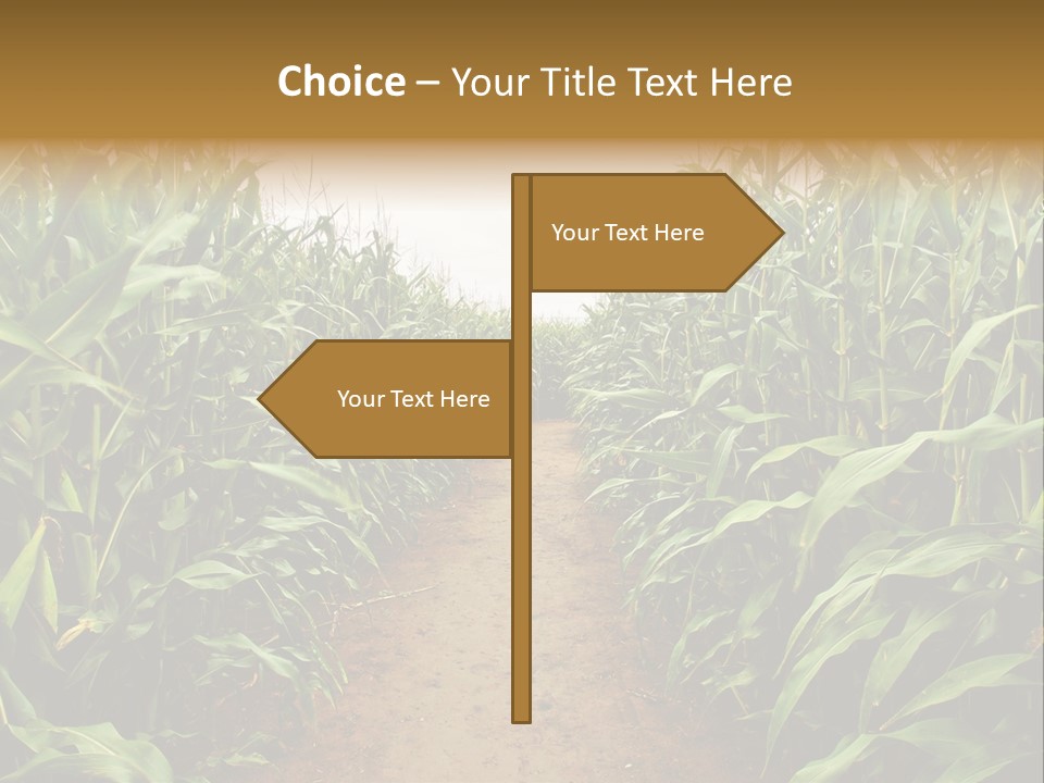 Mud Nature Plant PowerPoint Template