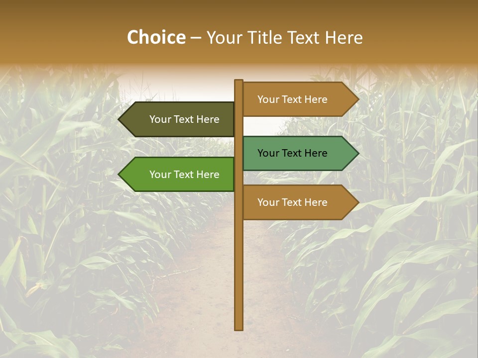 Mud Nature Plant PowerPoint Template