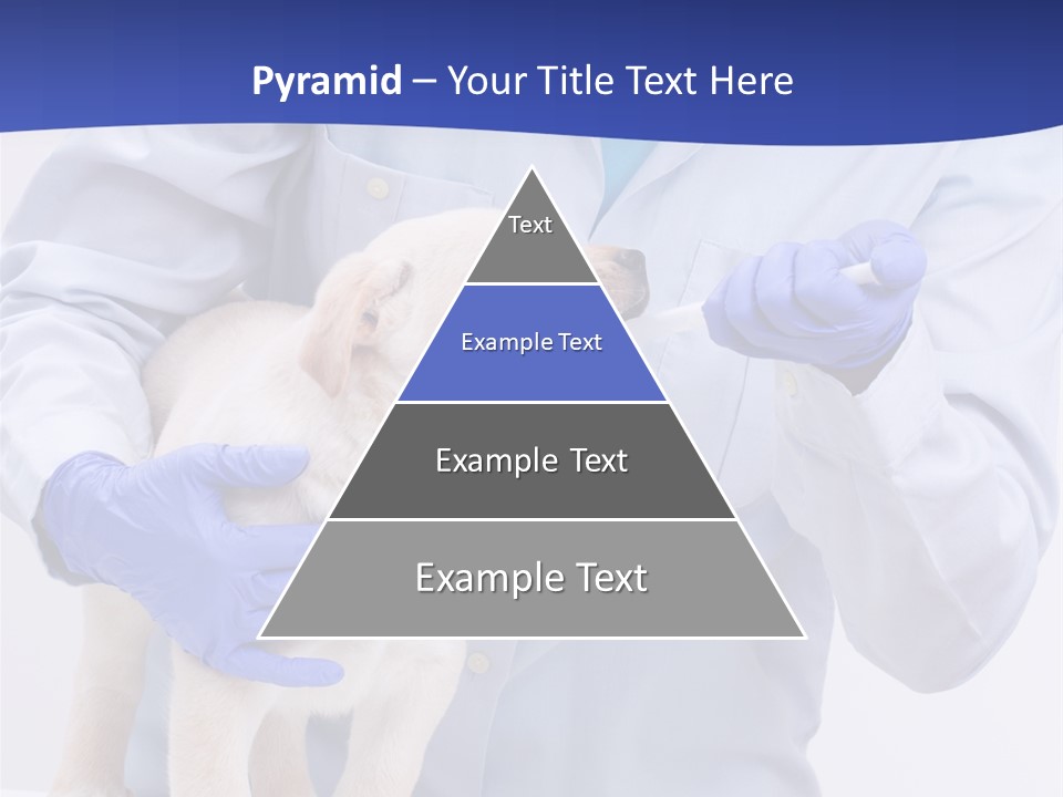 Lab Lady Uniform PowerPoint Template