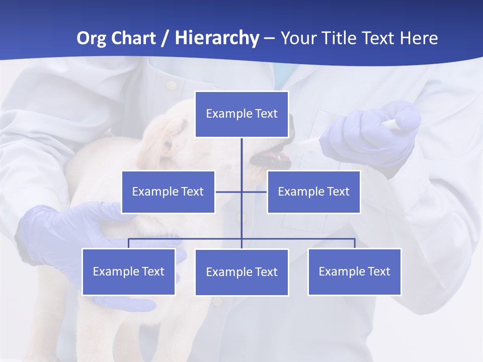 Lab Lady Uniform PowerPoint Template