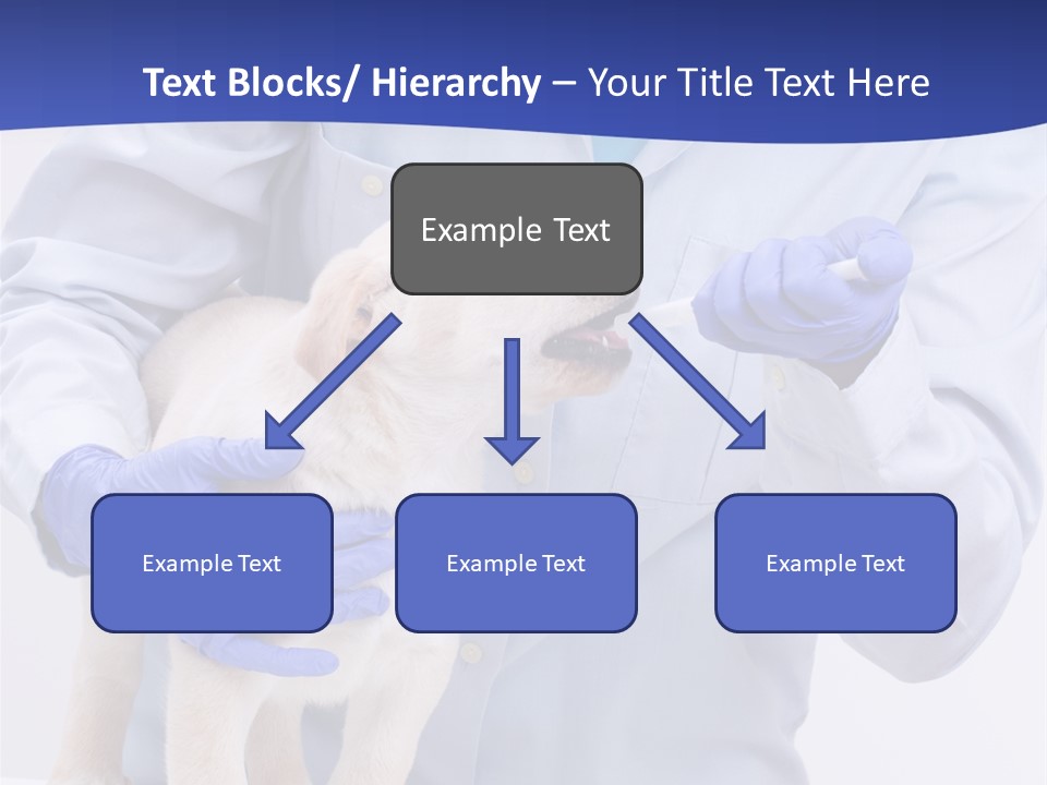 Lab Lady Uniform PowerPoint Template