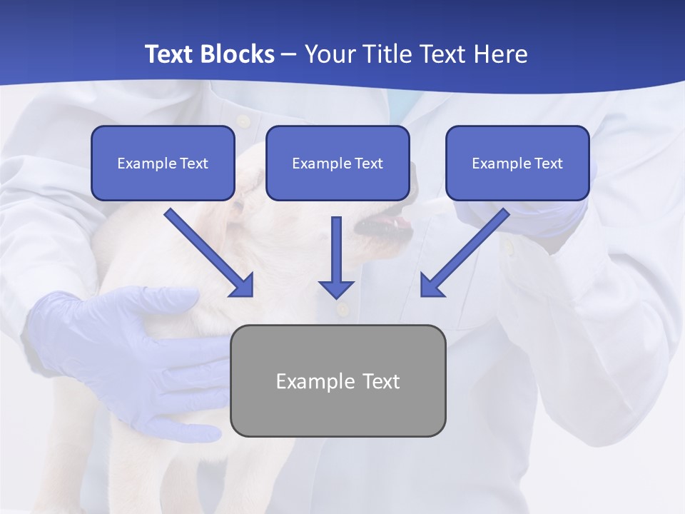 Lab Lady Uniform PowerPoint Template