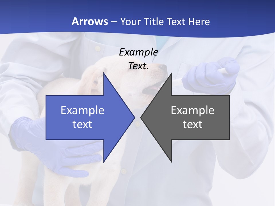 Lab Lady Uniform PowerPoint Template