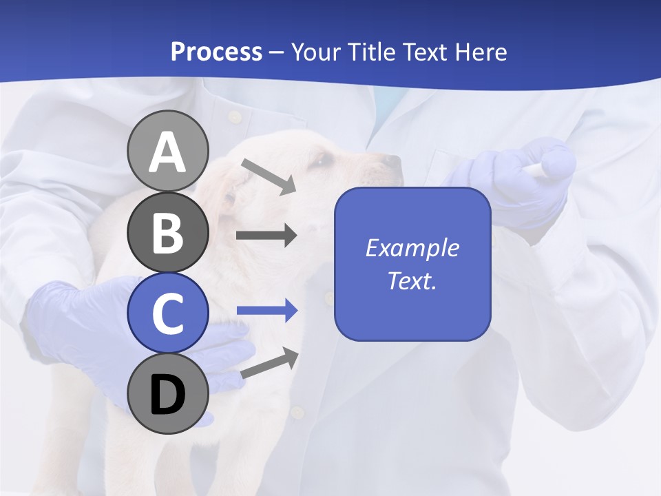 Lab Lady Uniform PowerPoint Template