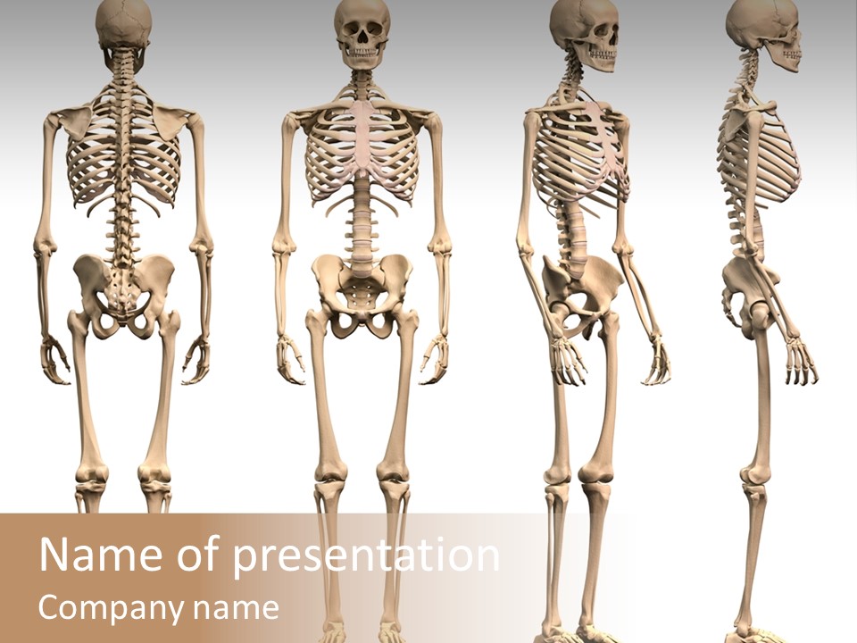 D Death Illustration PowerPoint Template