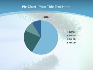 Scientific Biology Illustrations PowerPoint Template