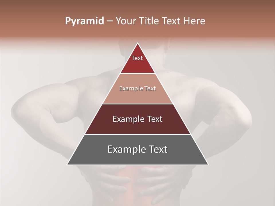 Muscular Touch Health PowerPoint Template