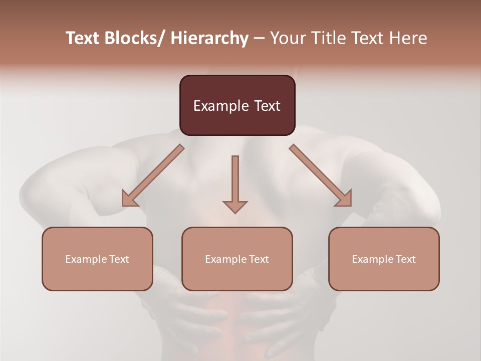 Muscular Touch Health PowerPoint Template