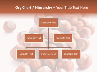 Seasonal Condiment Food PowerPoint Template