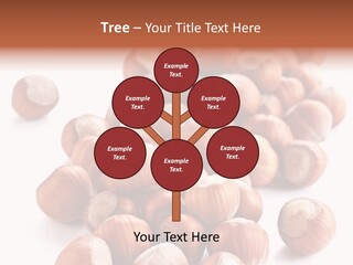 Seasonal Condiment Food PowerPoint Template