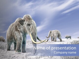 Head Big Cold PowerPoint Template