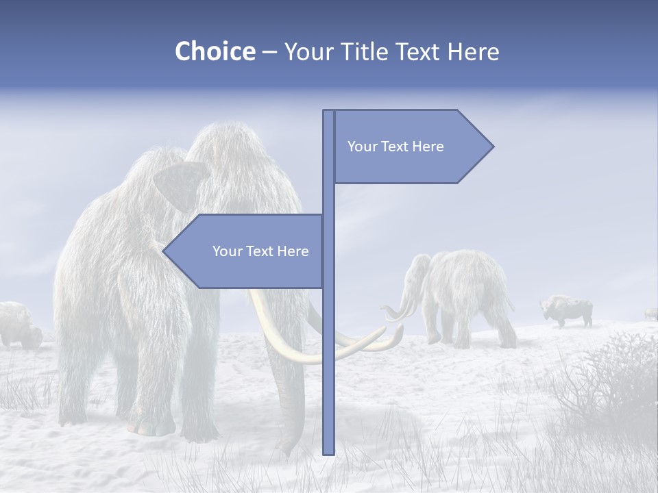 Head Big Cold PowerPoint Template