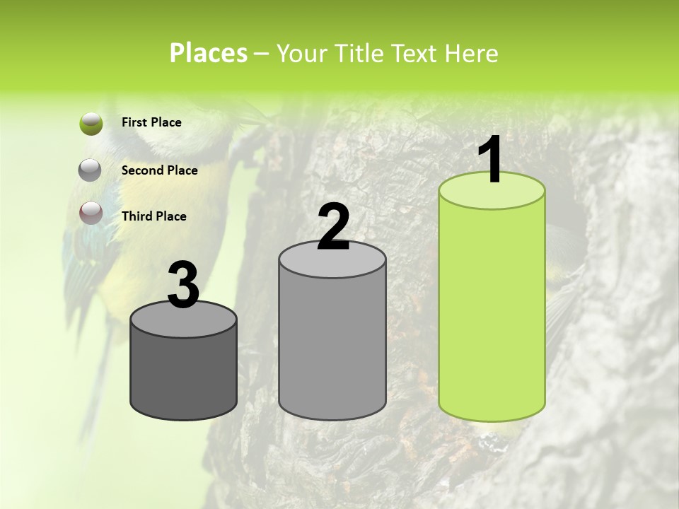 Wildlife Zoology Survive PowerPoint Template