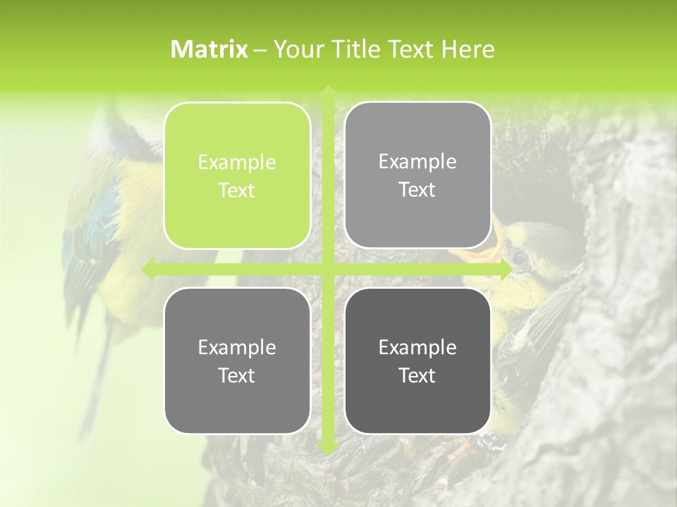 Wildlife Zoology Survive PowerPoint Template