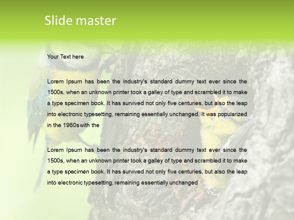 Wildlife Zoology Survive PowerPoint Template