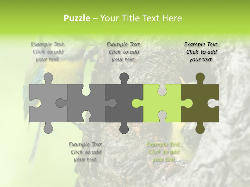 Wildlife Zoology Survive PowerPoint Template