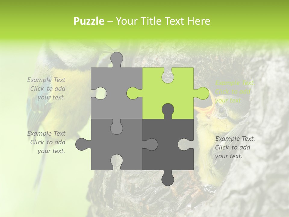 Wildlife Zoology Survive PowerPoint Template