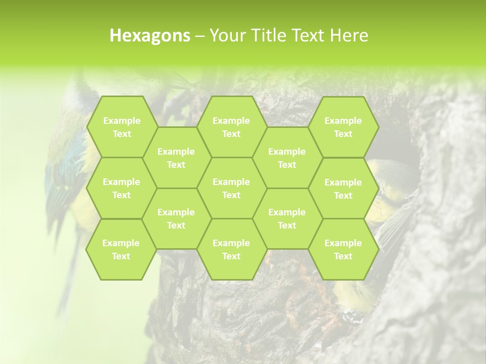 Wildlife Zoology Survive PowerPoint Template