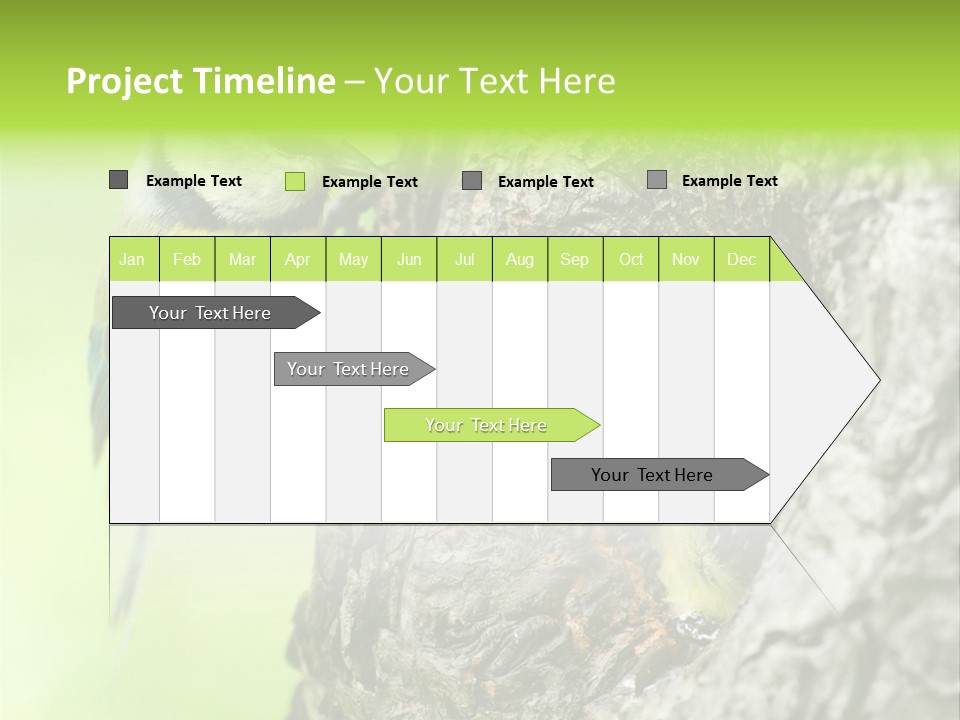 Wildlife Zoology Survive PowerPoint Template