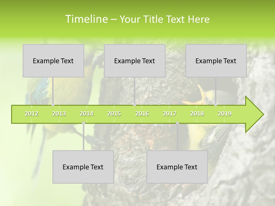 Wildlife Zoology Survive PowerPoint Template