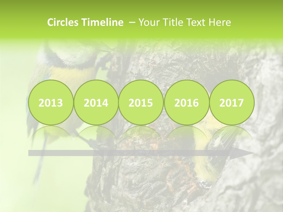 Wildlife Zoology Survive PowerPoint Template