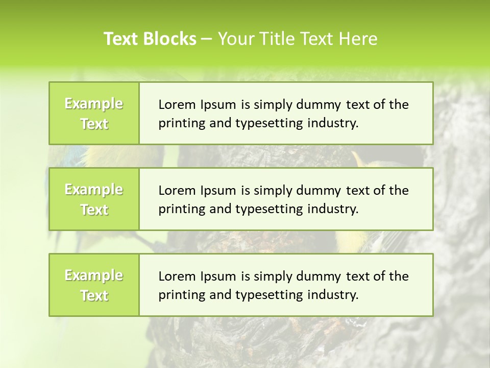 Wildlife Zoology Survive PowerPoint Template