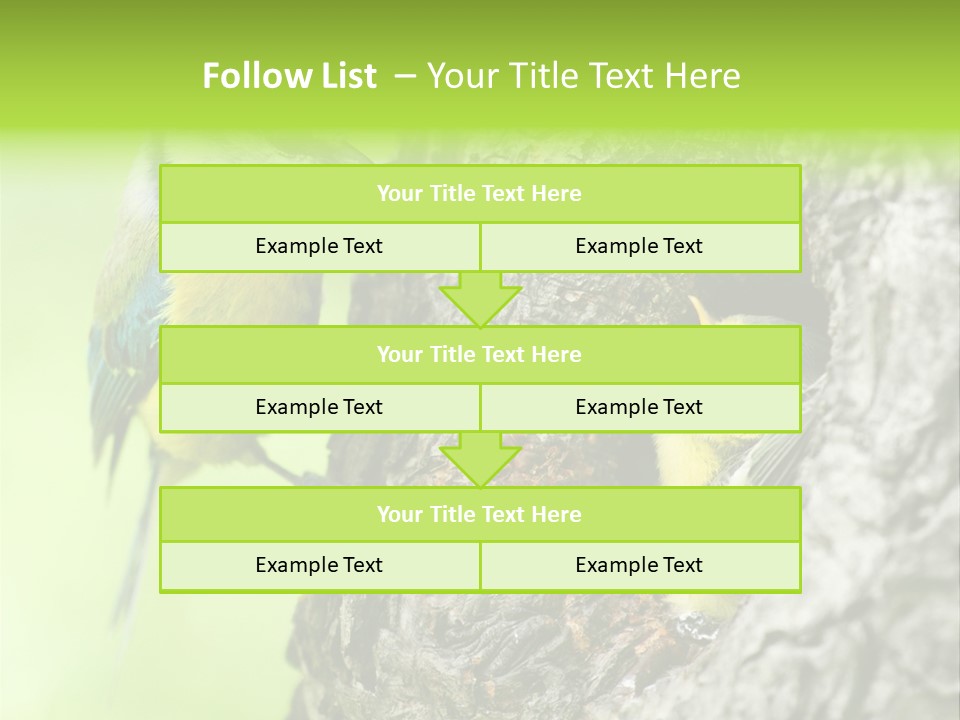 Wildlife Zoology Survive PowerPoint Template