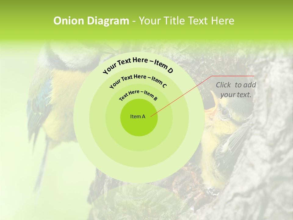 Wildlife Zoology Survive PowerPoint Template