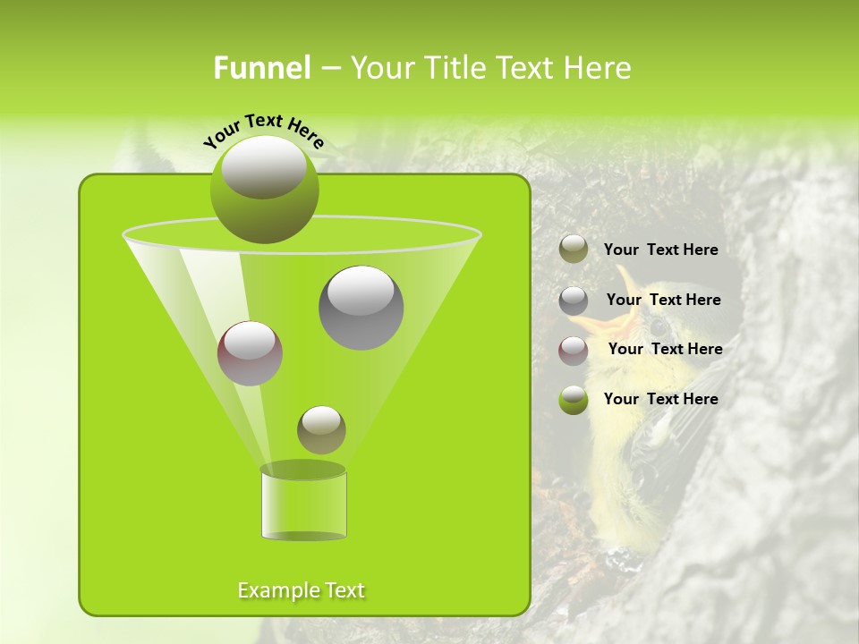 Wildlife Zoology Survive PowerPoint Template