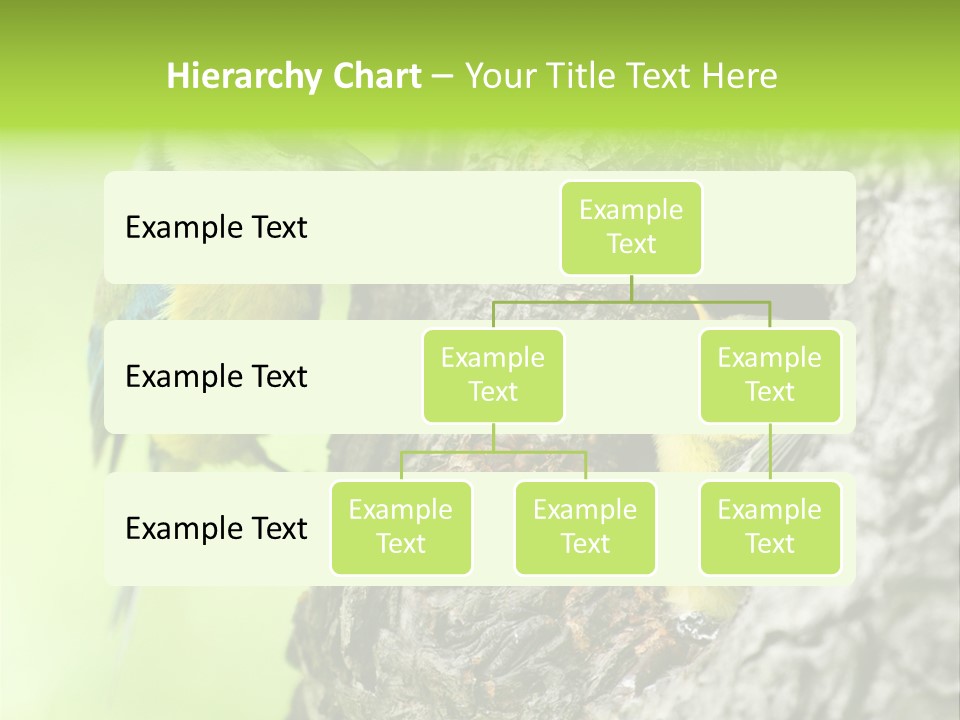 Wildlife Zoology Survive PowerPoint Template