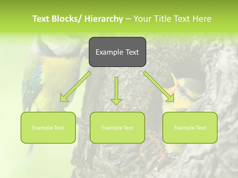 Wildlife Zoology Survive PowerPoint Template