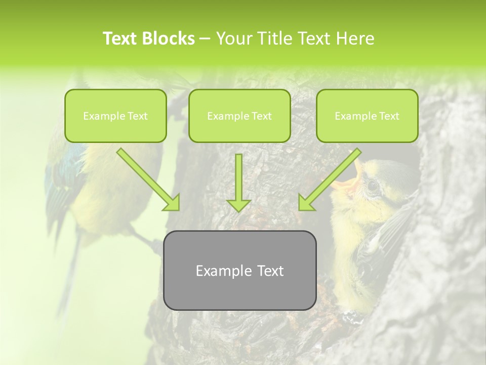 Wildlife Zoology Survive PowerPoint Template