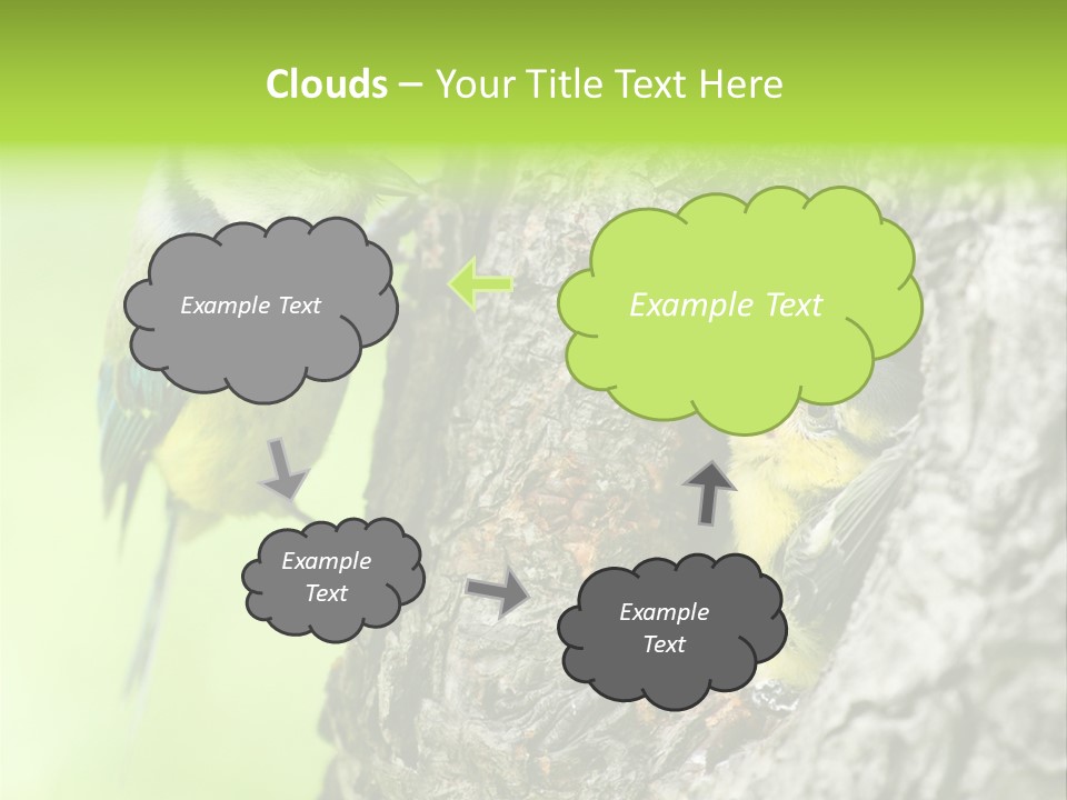 Wildlife Zoology Survive PowerPoint Template