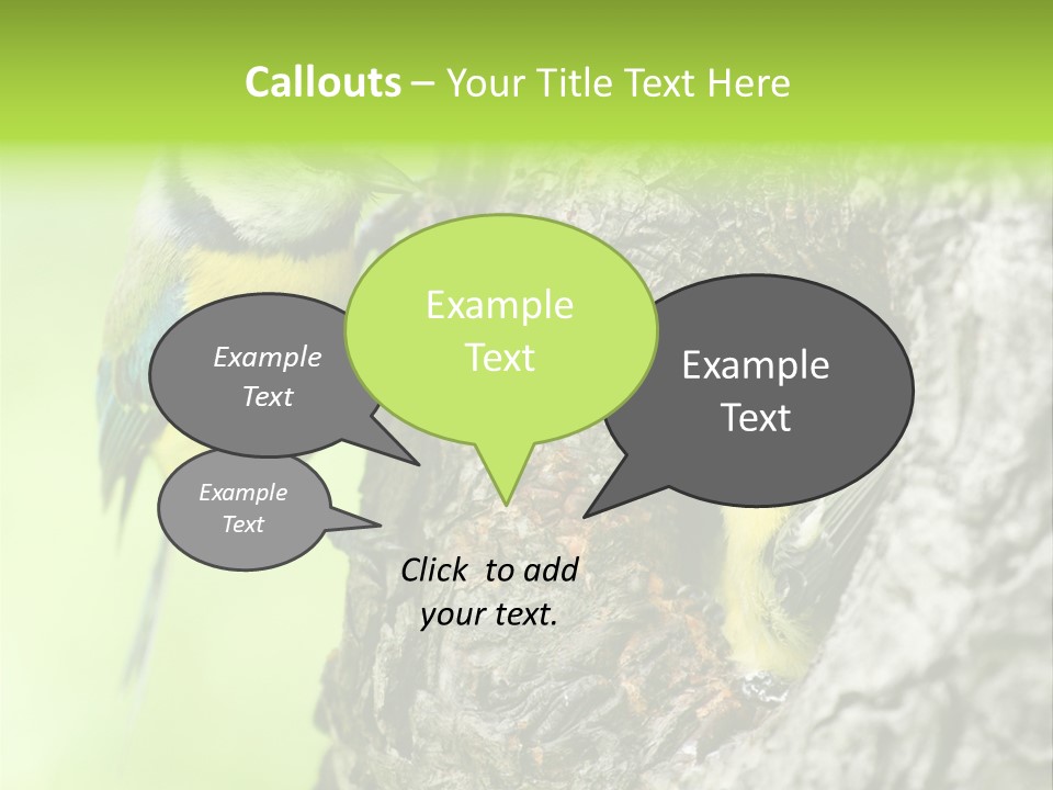 Wildlife Zoology Survive PowerPoint Template