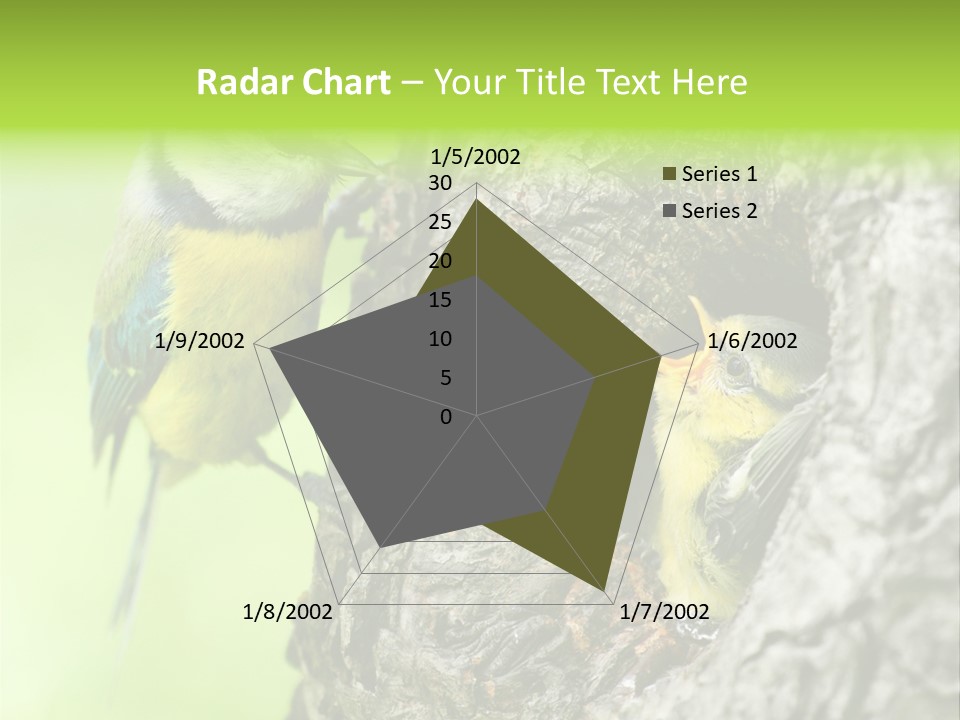 Wildlife Zoology Survive PowerPoint Template