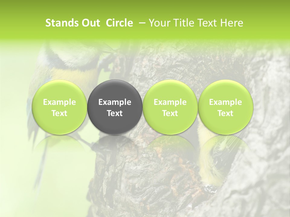 Wildlife Zoology Survive PowerPoint Template