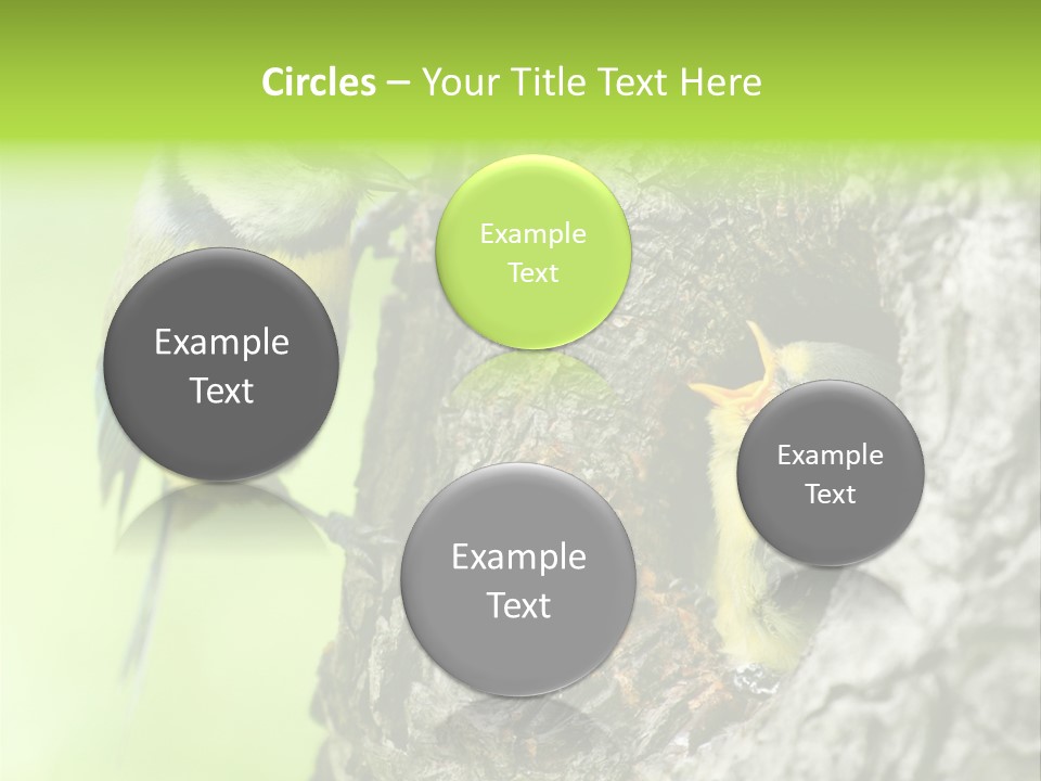 Wildlife Zoology Survive PowerPoint Template