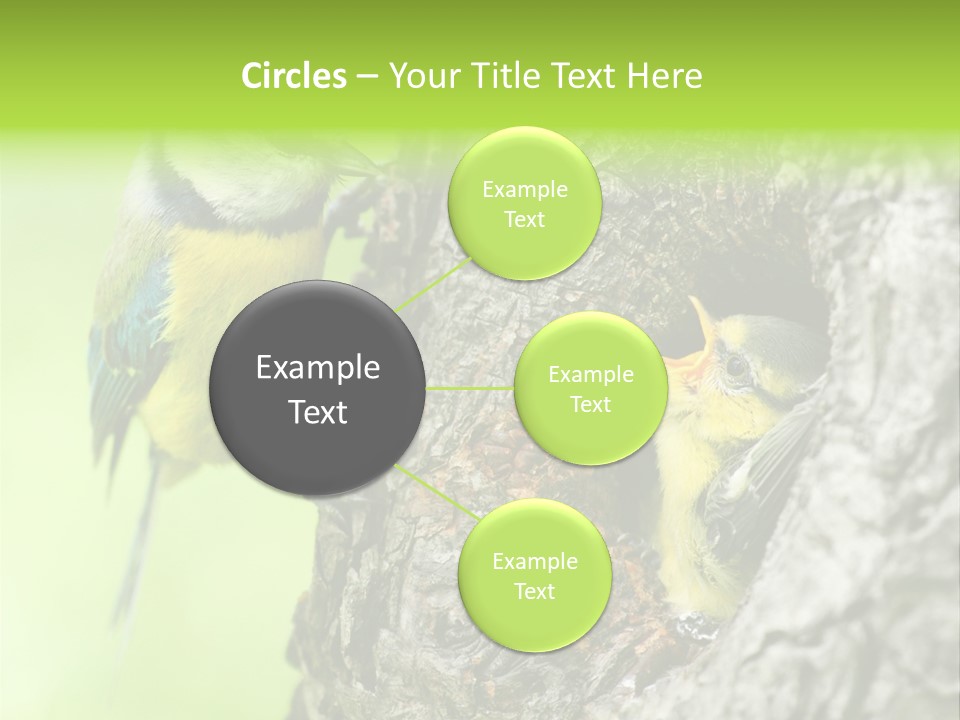 Wildlife Zoology Survive PowerPoint Template