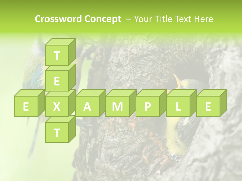 Wildlife Zoology Survive PowerPoint Template