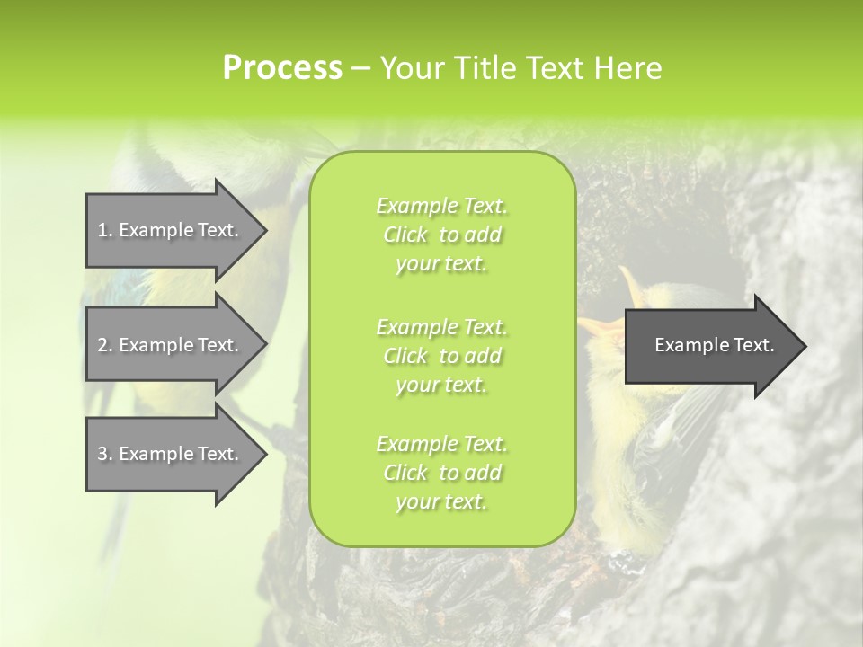 Wildlife Zoology Survive PowerPoint Template