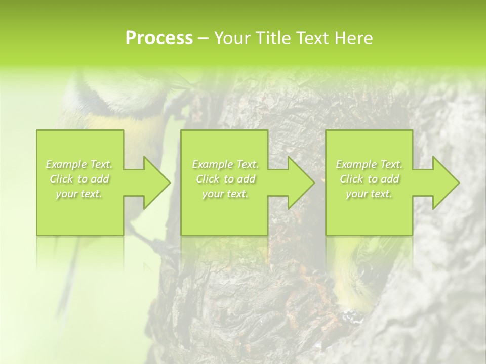 Wildlife Zoology Survive PowerPoint Template