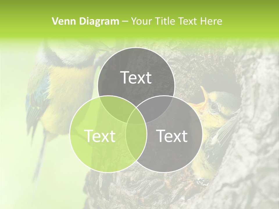 Wildlife Zoology Survive PowerPoint Template