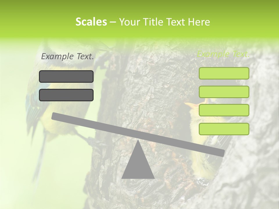 Wildlife Zoology Survive PowerPoint Template