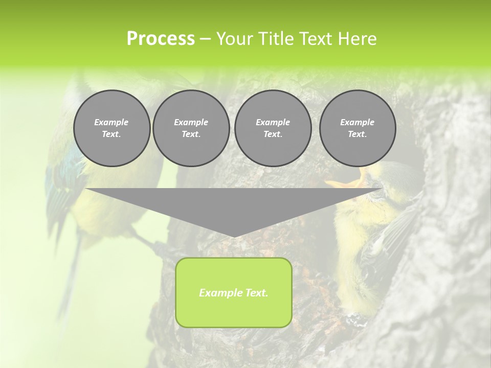 Wildlife Zoology Survive PowerPoint Template