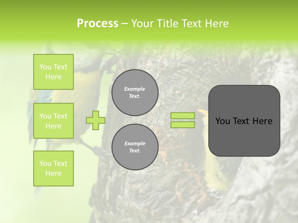 Wildlife Zoology Survive PowerPoint Template
