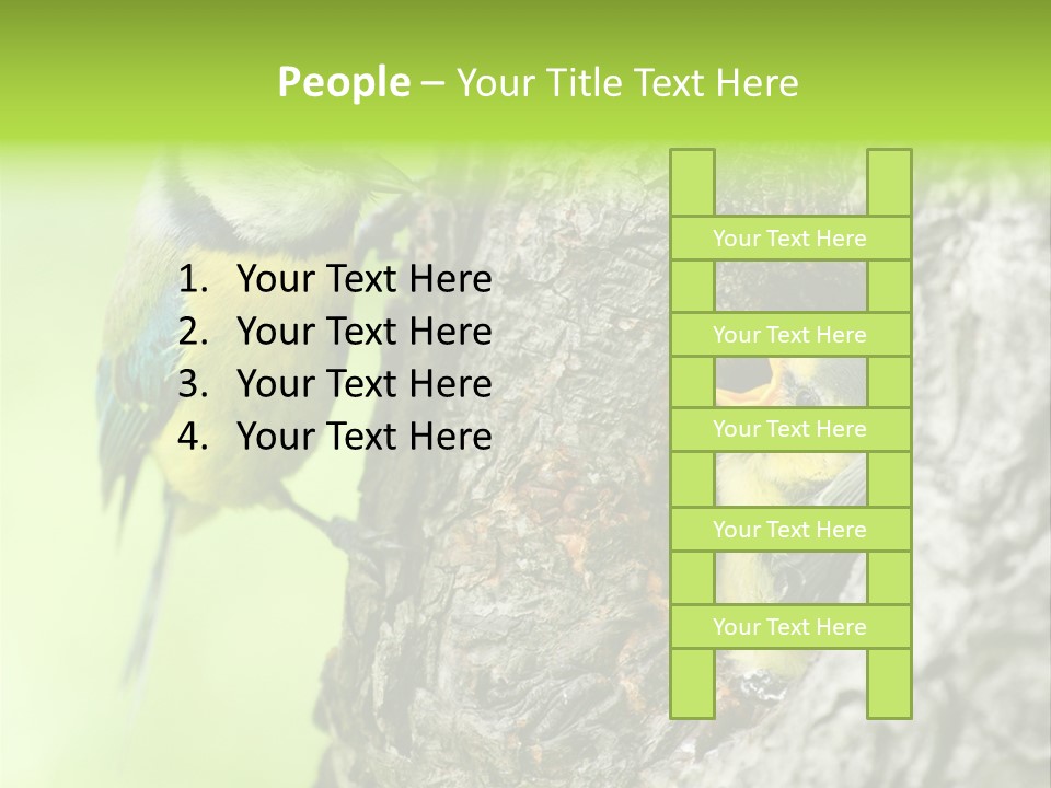 Wildlife Zoology Survive PowerPoint Template