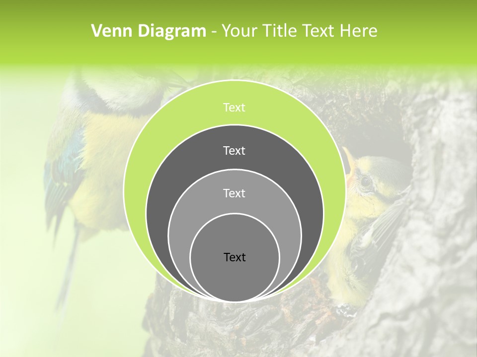 Wildlife Zoology Survive PowerPoint Template