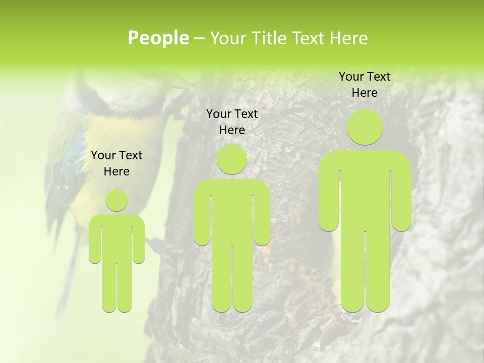 Wildlife Zoology Survive PowerPoint Template